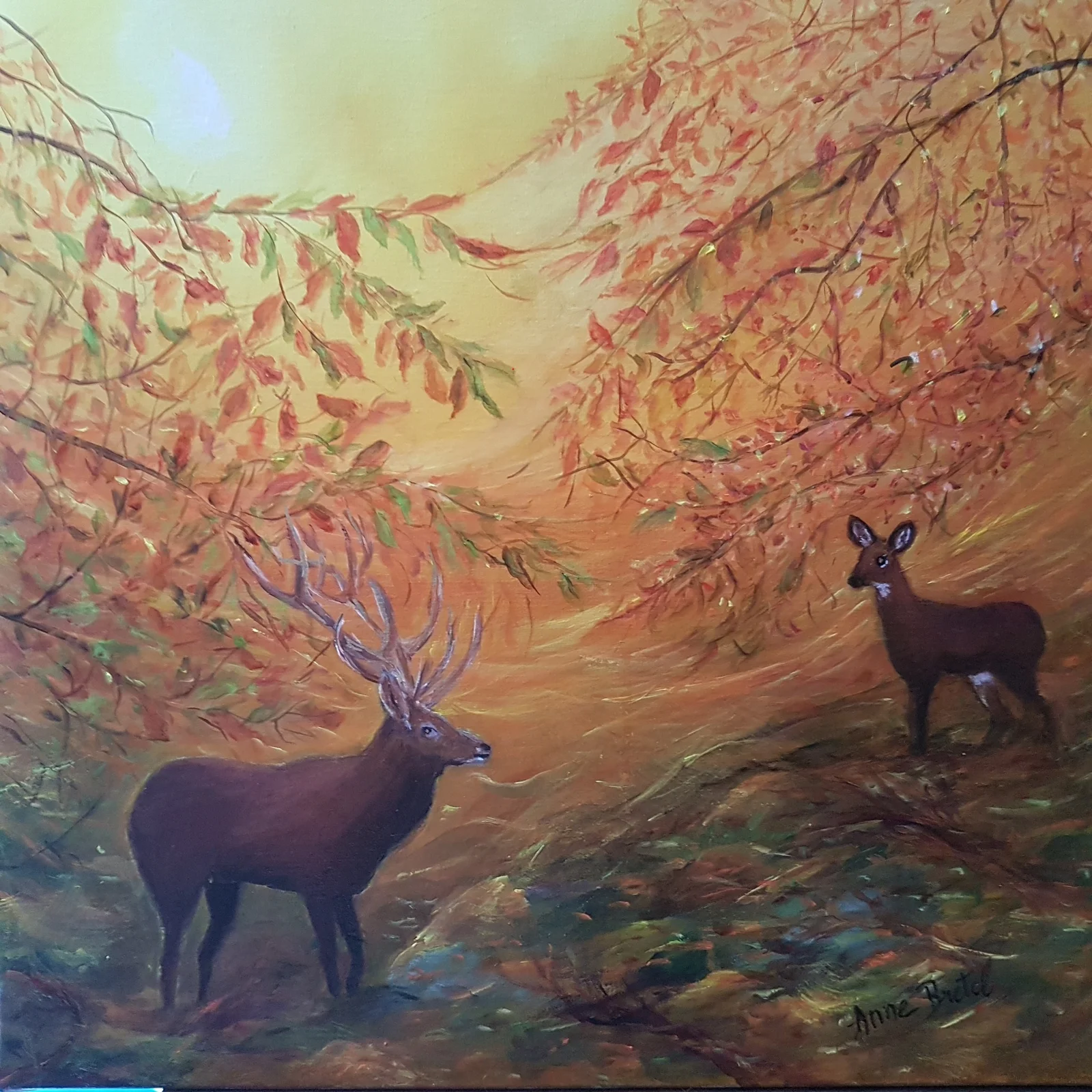 Cerf et biche en forêt